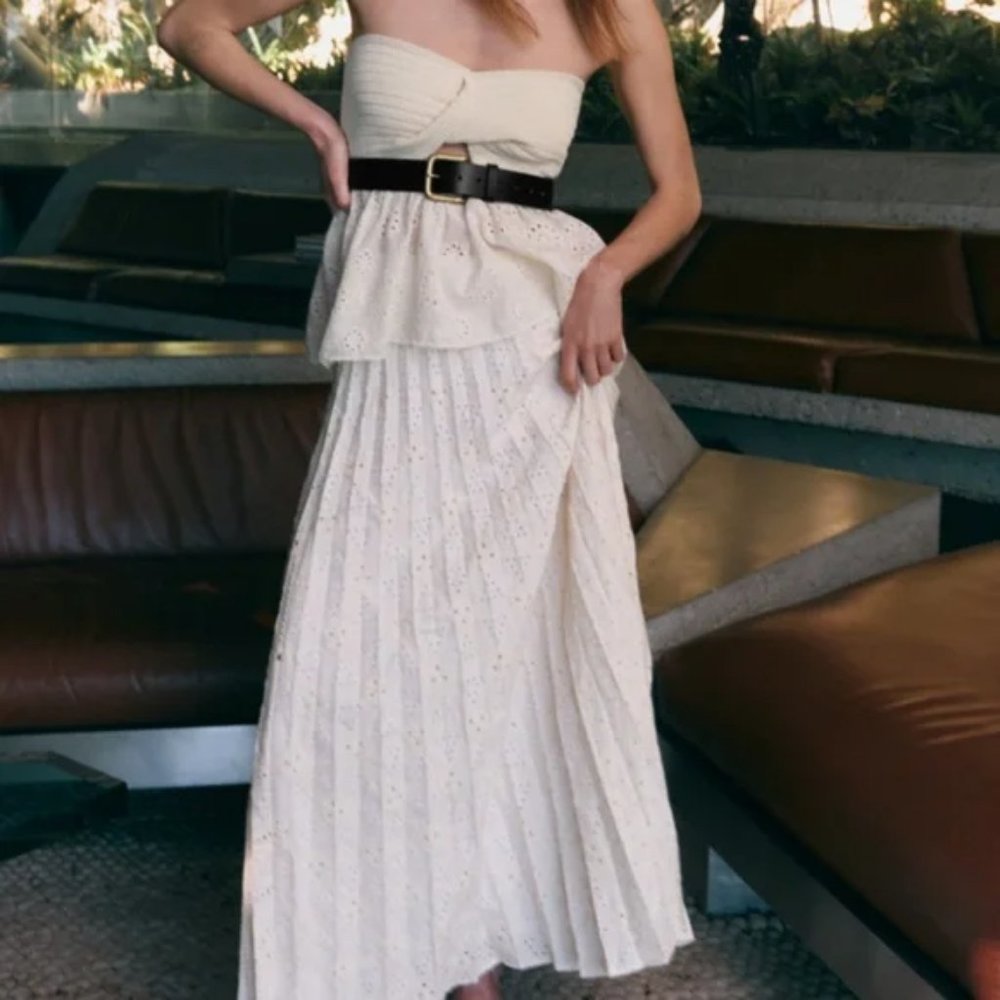 ZARA Embroidered Eyelet Pleated Skirt
